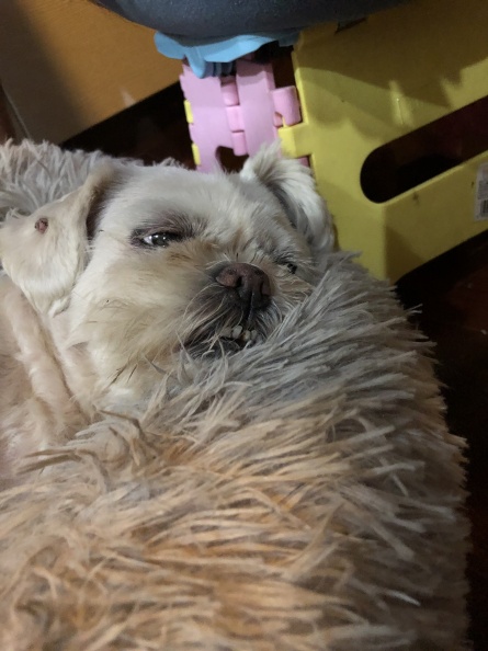 IMG_0674.jpeg