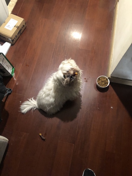 IMG_6021.jpeg